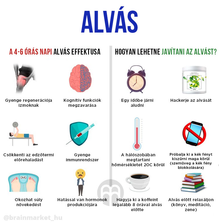 spanek-infografika-brainmarket-hu